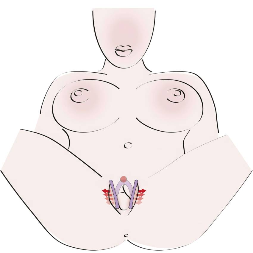 You2Toys - Intimate Spreader hüvely széthúzó - Image 6